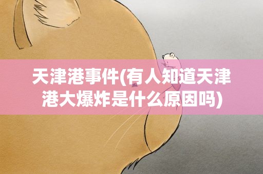 天津港事件(有人知道天津港大爆炸是什么原因吗)
