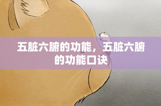 五脏六腑的功能，五脏六腑的功能口诀