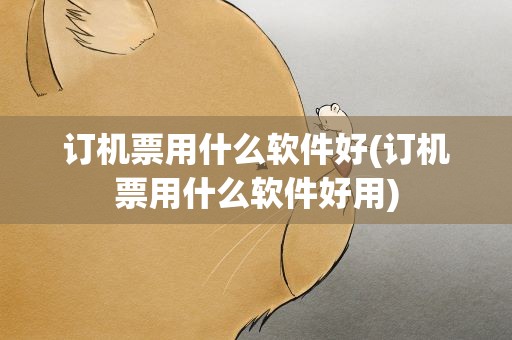 订机票用什么软件好(订机票用什么软件好用)