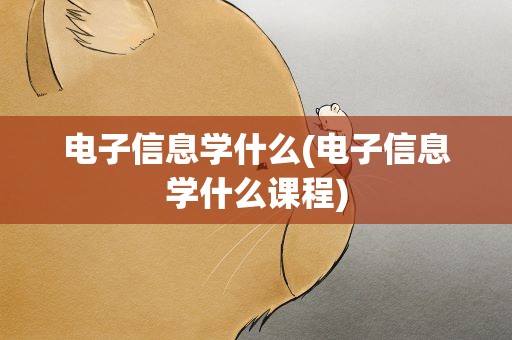 电子信息学什么(电子信息学什么课程)