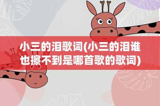 小三的泪歌词(小三的泪谁也擦不到是哪首歌的歌词)