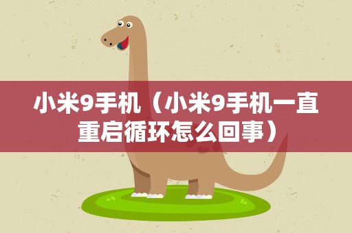 小米9手机（小米9手机一直重启循环怎么回事）