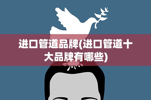 进口管道品牌(进口管道十大品牌有哪些)