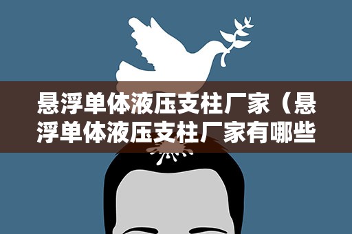 悬浮单体液压支柱厂家（悬浮单体液压支柱厂家有哪些）