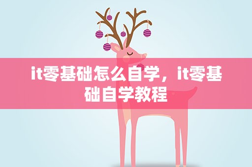 it零基础怎么自学，it零基础自学教程