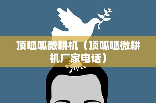 顶呱呱微耕机（顶呱呱微耕机厂家电话）