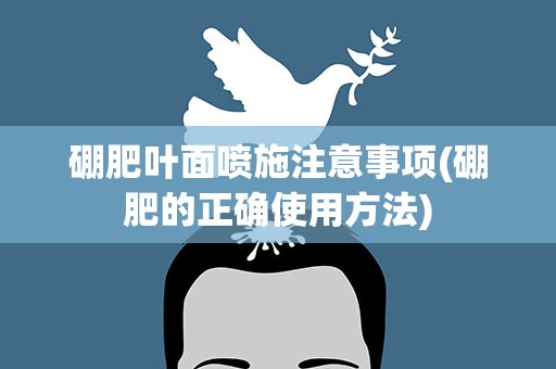 硼肥叶面喷施注意事项(硼肥的正确使用方法)