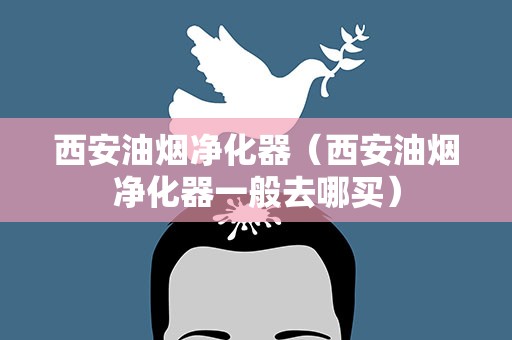 西安油烟净化器（西安油烟净化器一般去哪买）