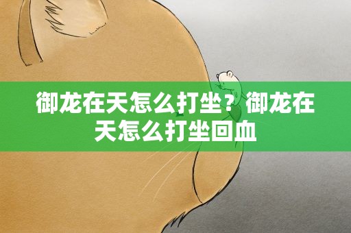 御龙在天怎么打坐？御龙在天怎么打坐回血