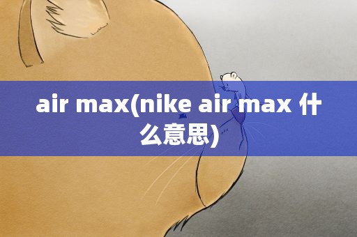 air max(nike air max 什么意思)
