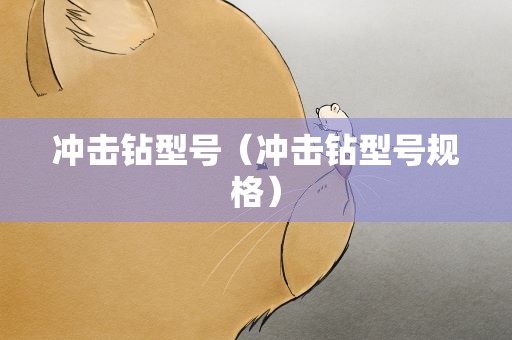冲击钻型号（冲击钻型号规格）