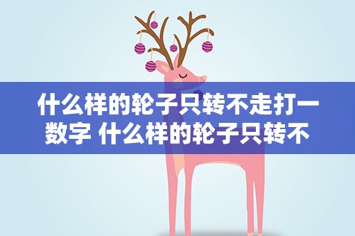 什么样的轮子只转不走打一数字 什么样的轮子只转不走打一生肖