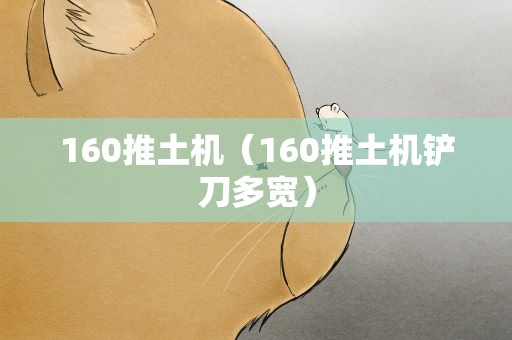 160推土机（160推土机铲刀多宽）