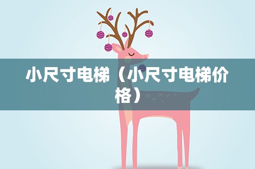 小尺寸电梯（小尺寸电梯价格）