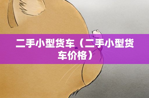 二手小型货车（二手小型货车价格）