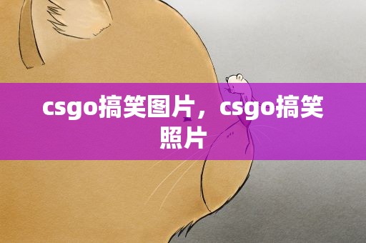 csgo搞笑图片，csgo搞笑照片