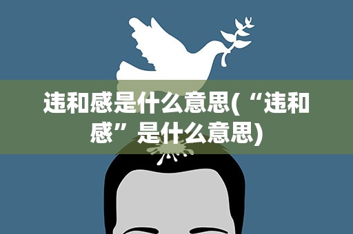 违和感是什么意思(“违和感”是什么意思)