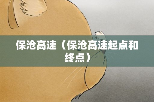 保沧高速（保沧高速起点和终点）