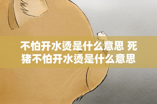 不怕开水烫是什么意思 死猪不怕开水烫是什么意思