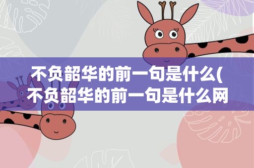 不负韶华的前一句是什么(不负韶华的前一句是什么网络)