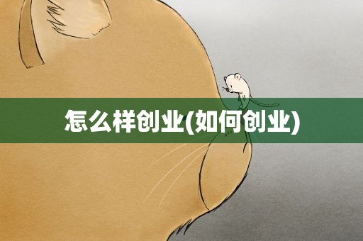 怎么样创业(如何创业)