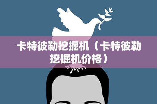 卡特彼勒挖掘机（卡特彼勒挖掘机价格）