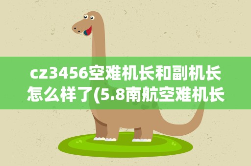 cz3456空难机长和副机长怎么样了(5.8南航空难机长和副驾死了吗)