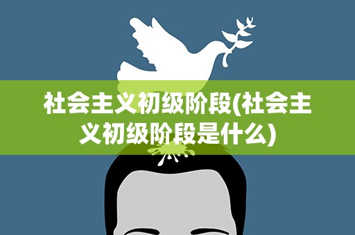 社会主义初级阶段(社会主义初级阶段是什么)