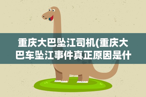 重庆大巴坠江司机(重庆大巴车坠江事件真正原因是什么)