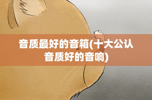 音质最好的音箱(十大公认音质好的音响)