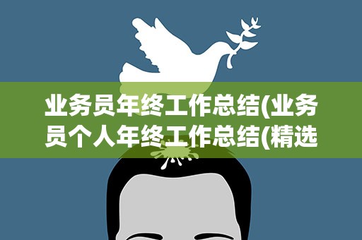 业务员年终工作总结(业务员个人年终工作总结(精选5篇))