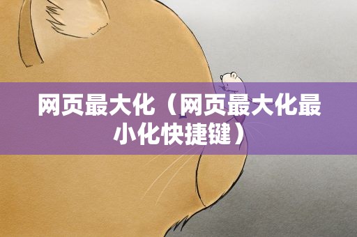 网页最大化（网页最大化最小化快捷键）