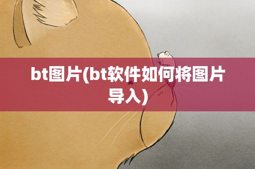 bt图片(bt软件如何将图片导入)