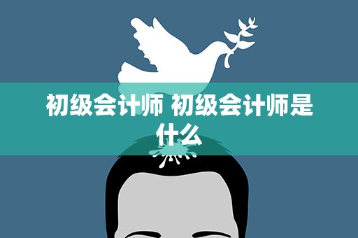 初级会计师 初级会计师是什么