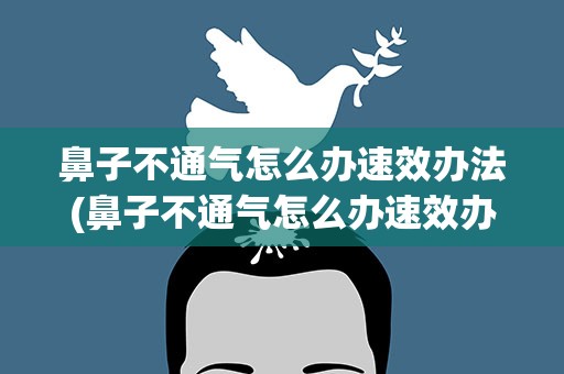 鼻子不通气怎么办速效办法(鼻子不通气怎么办速效办法这8个方法十分有效)