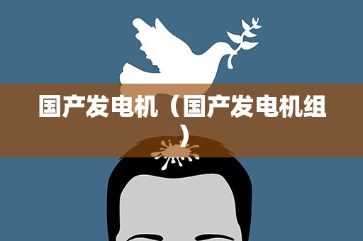 国产发电机（国产发电机组）