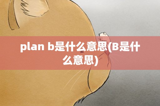 plan b是什么意思(B是什么意思)