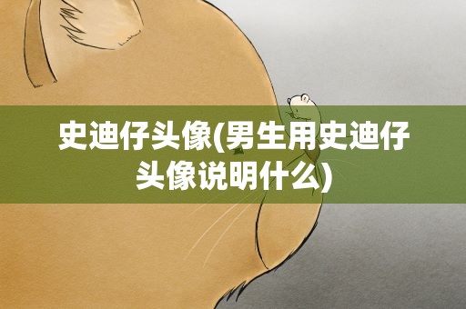 史迪仔头像(男生用史迪仔头像说明什么)