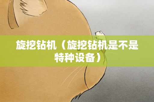 旋挖钻机（旋挖钻机是不是特种设备）