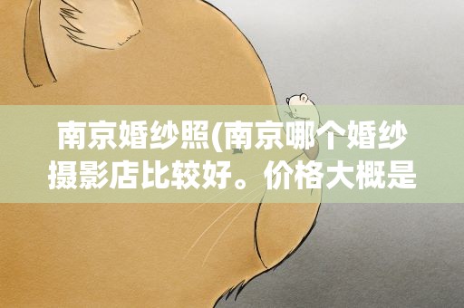 南京婚纱照(南京哪个婚纱摄影店比较好。价格大概是多少)