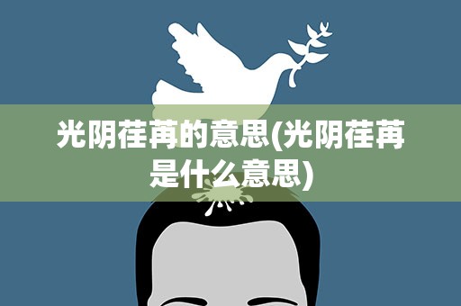 光阴荏苒的意思(光阴荏苒是什么意思)