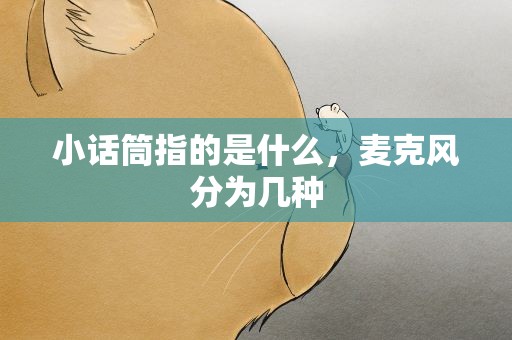 小话筒指的是什么，麦克风分为几种