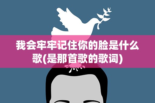 我会牢牢记住你的脸是什么歌(是那首歌的歌词)
