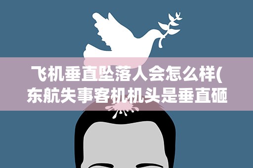 飞机垂直坠落人会怎么样(东航失事客机机头是垂直砸向地面吗)