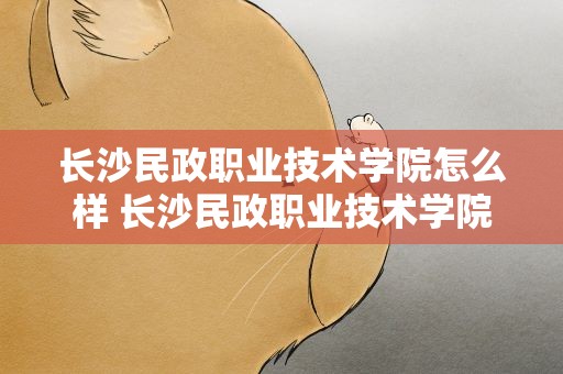 长沙民政职业技术学院怎么样 长沙民政职业技术学院怎么样知乎