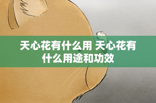 天心花有什么用 天心花有什么用途和功效