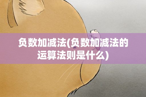 负数加减法(负数加减法的运算法则是什么)