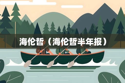 海伦哲（海伦哲半年报）