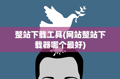 整站下载工具(网站整站下载器哪个最好)