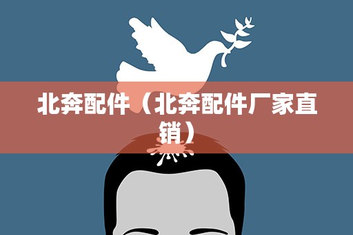 北奔配件（北奔配件厂家直销）